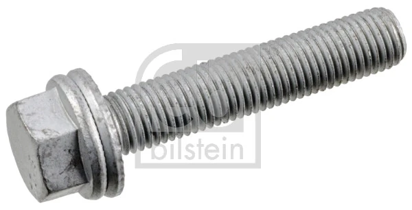 Bolt, brake caliper